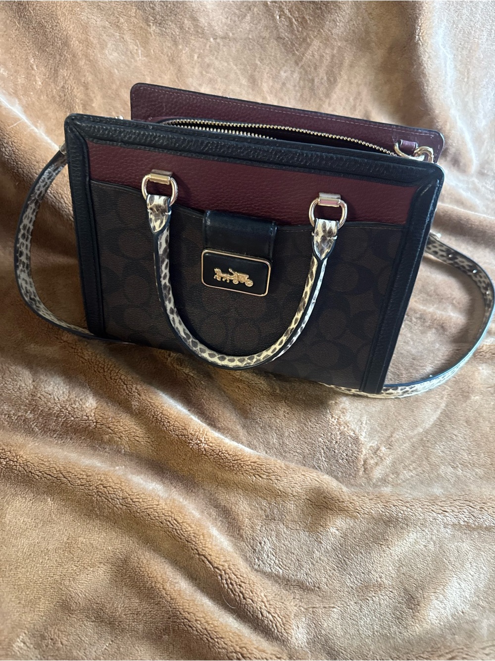 Coach Grace Carryall in Signature Canvas Colorblock & Snake Print Accents